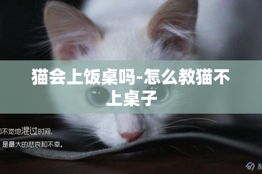 貓會上飯桌嗎-怎么教貓不上桌子