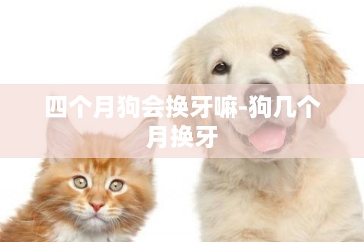 四個月狗會換牙嘛-狗幾個月換牙