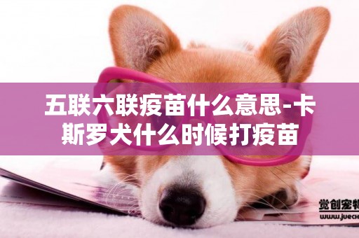 五聯六聯疫苗什么意思-卡斯羅犬什么時候打疫苗