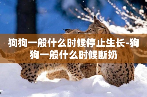 狗狗一般什么時候停止生長-狗狗一般什么時候斷奶