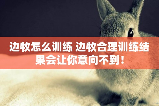 邊牧怎么訓練 邊牧合理訓練結果會讓你意向不到！