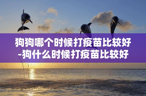 狗狗哪個時候打疫苗比較好-狗什么時候打疫苗比較好