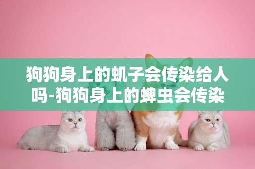 狗狗身上的蟣子會傳染給人嗎-狗狗身上的蜱蟲會傳染給人嗎