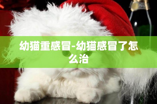幼貓重感冒-幼貓感冒了怎么治