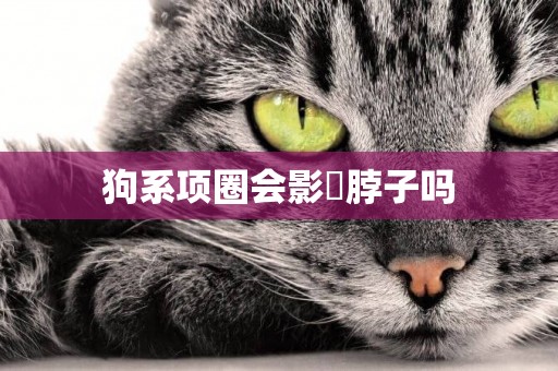 狗系項圈會影響脖子嗎