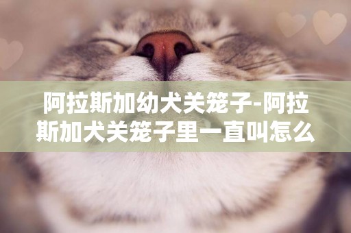 阿拉斯加幼犬關籠子-阿拉斯加犬關籠子里一直叫怎么辦