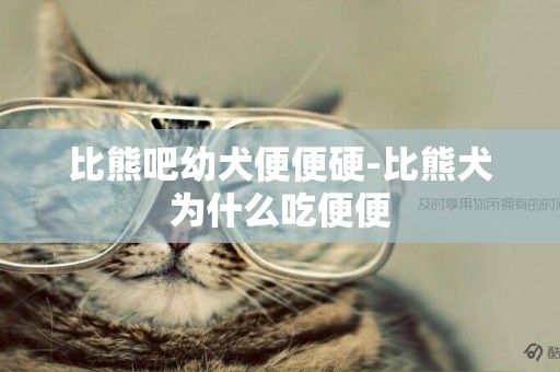 比熊吧幼犬便便硬-比熊犬為什么吃便便