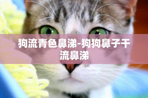 狗流青色鼻涕-狗狗鼻子干流鼻涕