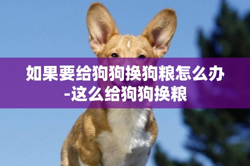如果要給狗狗換狗糧怎么辦-這么給狗狗換糧