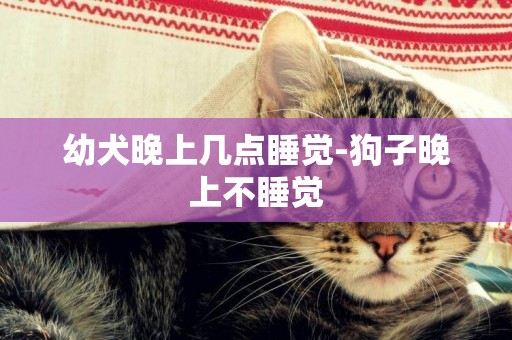 幼犬晚上幾點睡覺-狗子晚上不睡覺