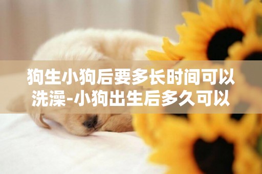 狗生小狗后要多長時間可以洗澡-小狗出生后多久可以洗澡