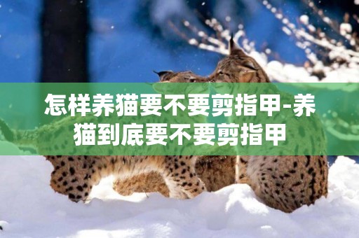 怎樣養貓要不要剪指甲-養貓到底要不要剪指甲