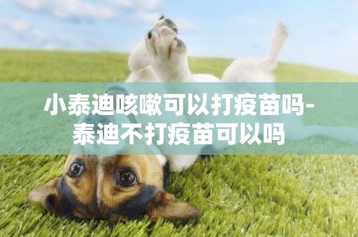 小泰迪咳嗽可以打疫苗嗎-泰迪不打疫苗可以嗎