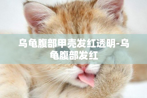 烏龜腹部甲殼發紅透明-烏龜腹部發紅