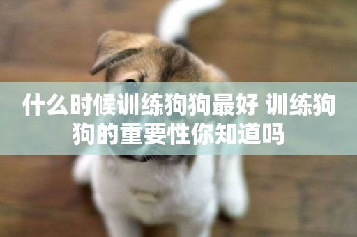什么時候訓練狗狗最好 訓練狗狗的重要性你知道嗎