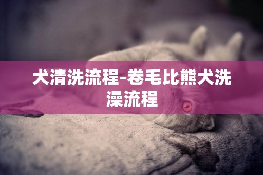 犬清洗流程-卷毛比熊犬洗澡流程