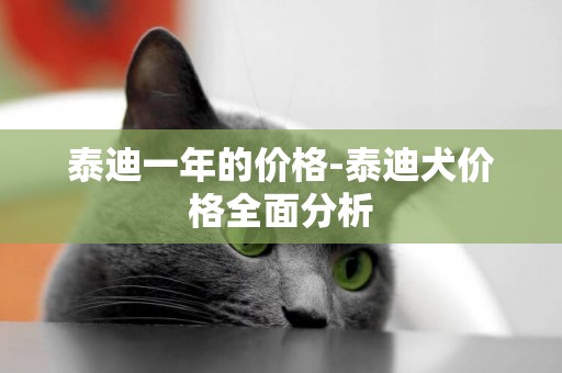 泰迪一年的價格-泰迪犬價格全面分析
