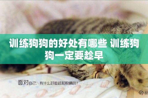訓練狗狗的好處有哪些 訓練狗狗一定要趁早