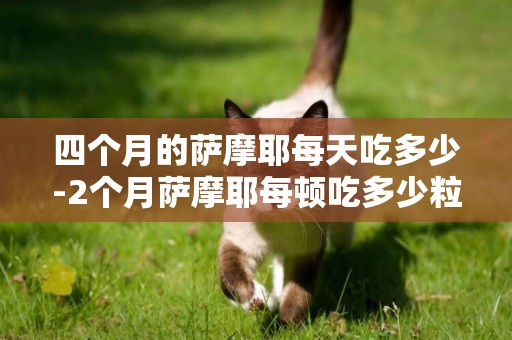 四個月的薩摩耶每天吃多少-2個月薩摩耶每頓吃多少粒