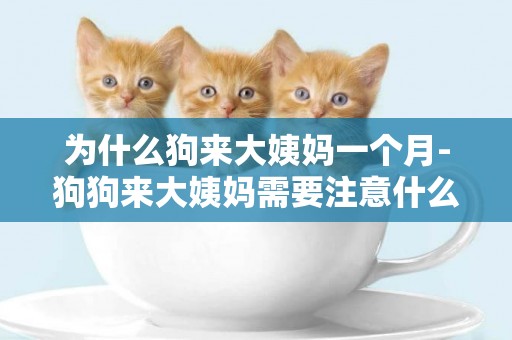 為什么狗來大姨媽一個月-狗狗來大姨媽需要注意什么