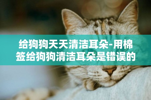 給狗狗天天清潔耳朵-用棉簽給狗狗清潔耳朵是錯誤的
