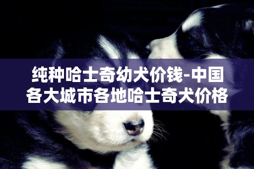 純種哈士奇幼犬價錢-中國各大城市各地哈士奇犬價格