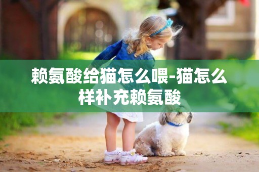賴氨酸給貓怎么喂-貓怎么樣補充賴氨酸