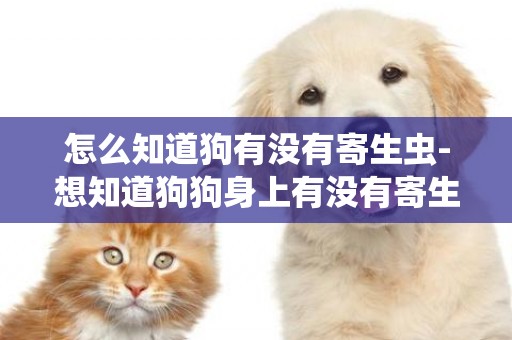 怎么知道狗有沒有寄生蟲-想知道狗狗身上有沒有寄生蟲