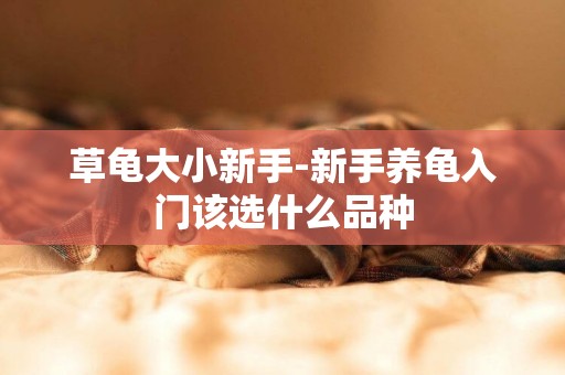 草龜大小新手-新手養龜入門該選什么品種