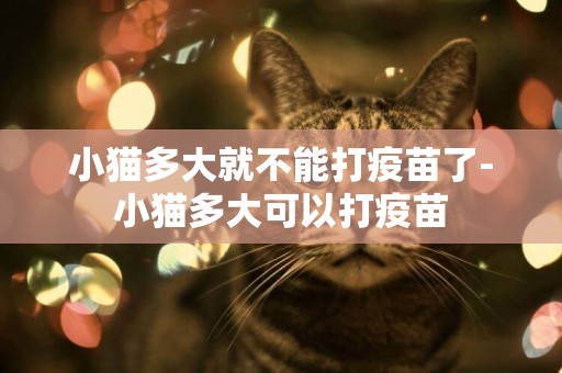 小貓多大就不能打疫苗了-小貓多大可以打疫苗