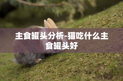 主食罐頭分析-貓吃什么主食罐頭好