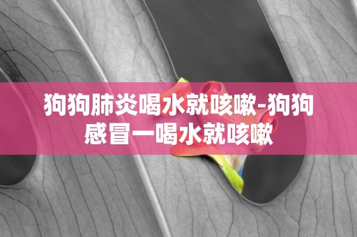 狗狗肺炎喝水就咳嗽-狗狗感冒一喝水就咳嗽