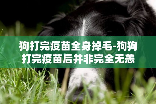 狗打完疫苗全身掉毛-狗狗打完疫苗后并非完全無恙