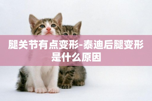 腿關節有點變形-泰迪后腿變形是什么原因