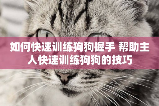 如何快速訓練狗狗握手 幫助主人快速訓練狗狗的技巧
