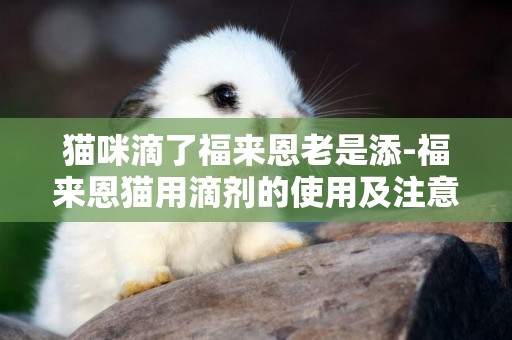貓咪滴了福來恩老是添-福來恩貓用滴劑的使用及注意事項