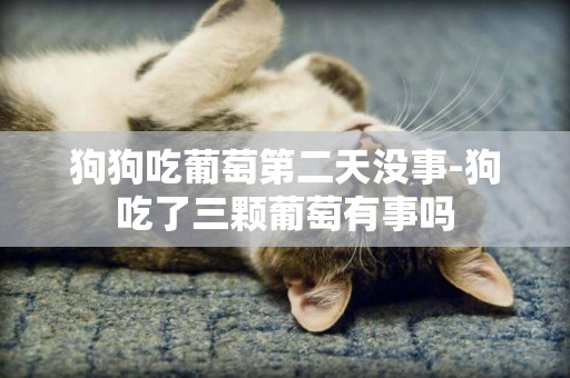 狗狗吃葡萄第二天沒事-狗吃了三顆葡萄有事嗎