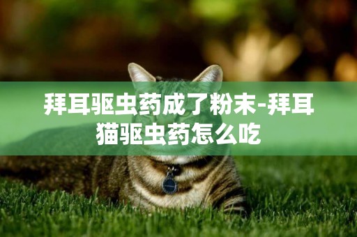 拜耳驅蟲藥成了粉末-拜耳貓驅蟲藥怎么吃