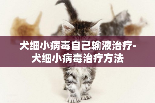 犬細小病毒自己輸液治療-犬細小病毒治療方法