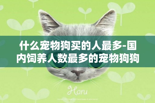 什么寵物狗買的人最多-國內飼養人數最多的寵物狗狗