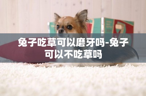 兔子吃草可以磨牙嗎-兔子可以不吃草嗎