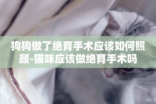 狗狗做了絕育手術應該如何照顧-貓咪應該做絕育手術嗎