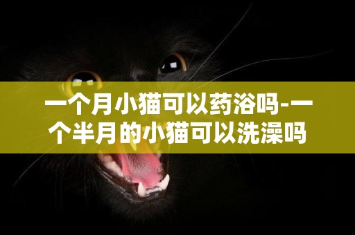一個月小貓可以藥浴嗎-一個半月的小貓可以洗澡嗎