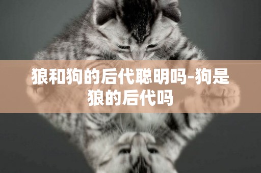 狼和狗的后代聰明嗎-狗是狼的后代嗎