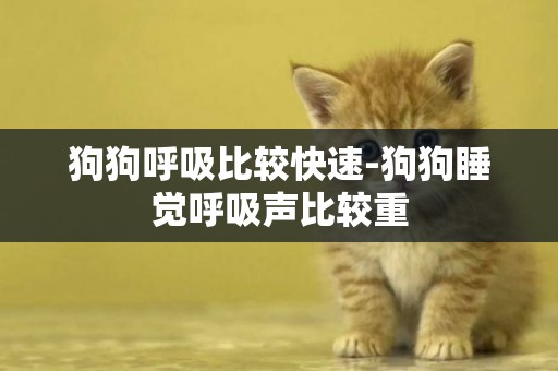 狗狗呼吸比較快速-狗狗睡覺呼吸聲比較重