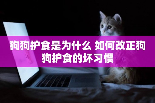 狗狗護食是為什么 如何改正狗狗護食的壞習慣