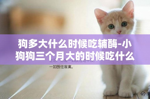 狗多大什么時候吃輔酶-小狗狗三個月大的時候吃什么