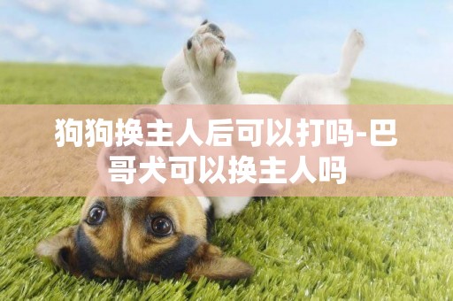 狗狗換主人后可以打嗎-巴哥犬可以換主人嗎