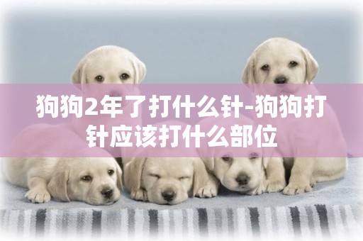 狗狗2年了打什么針-狗狗打針應該打什么部位