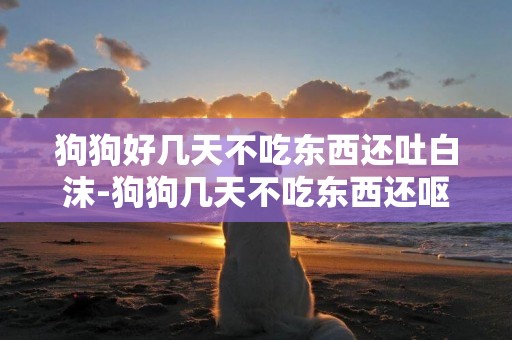 狗狗好幾天不吃東西還吐白沫-狗狗幾天不吃東西還嘔吐